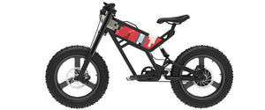 MB1 Genesis Fat Tire Moonbird Inspired ebike