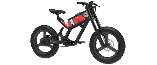 moonbird ebike